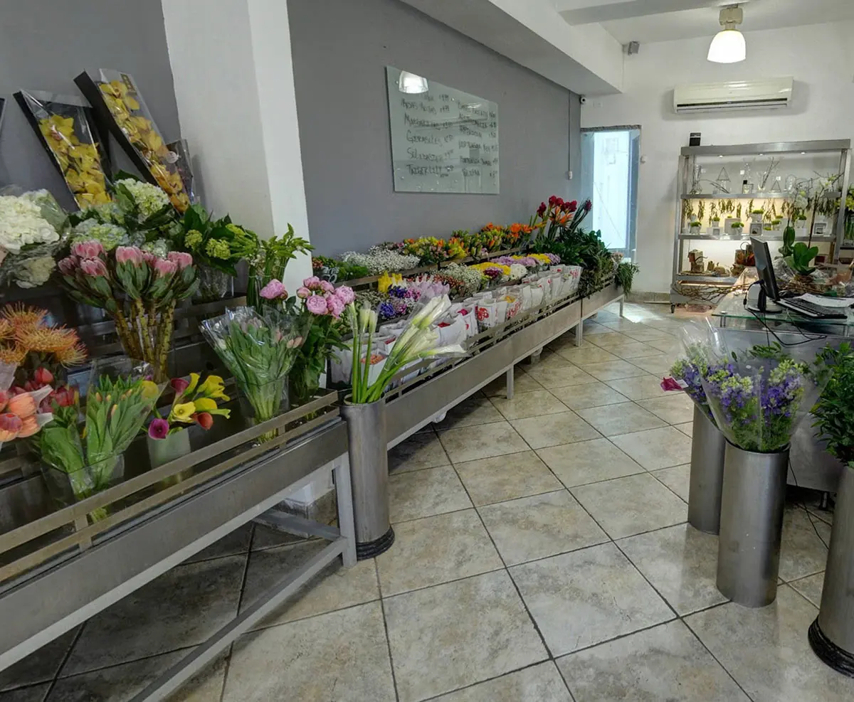 San Juan Parque Interior