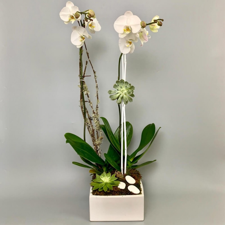 FlowersAndServices® Flower Shop, Arrangements & Florist Miami.