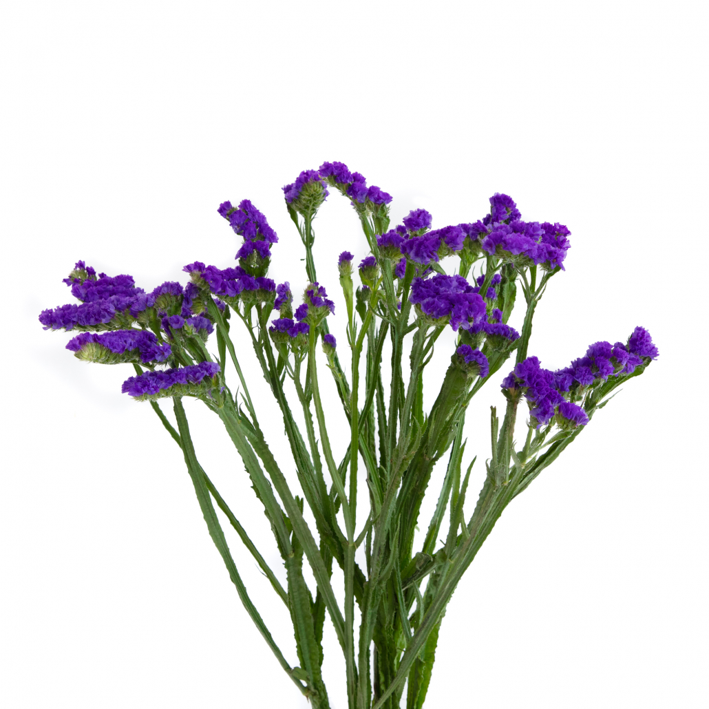 Statice Purple - FlowersAndServices®