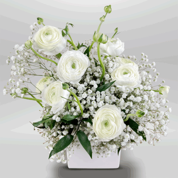 White Mirage