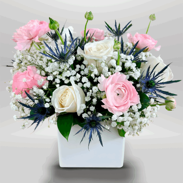Blush and Thistle