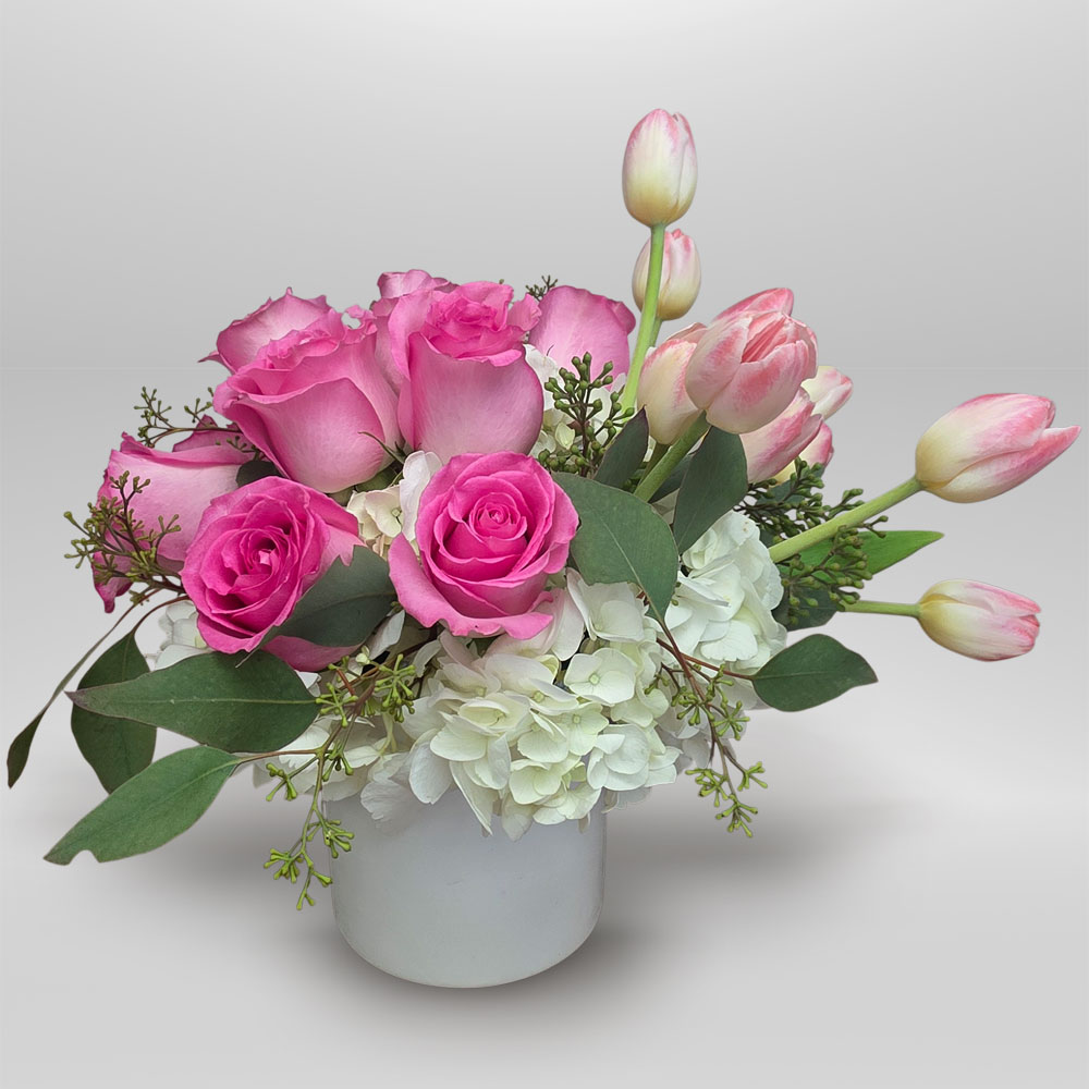 Blush Harmony